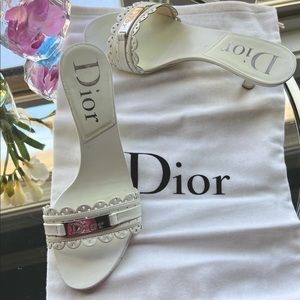 Fashionable Dior BRC Mule Sandals